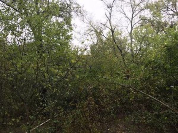 TBD Farm Market 1365 , Mexia, TX 76667