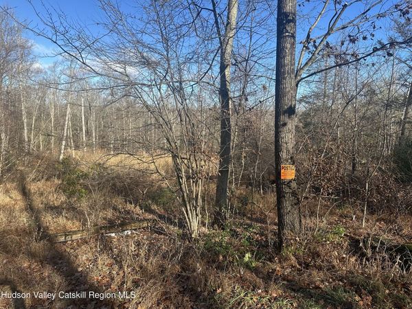 Tbd Oak Ridge Road, Ellenville, NY 12428