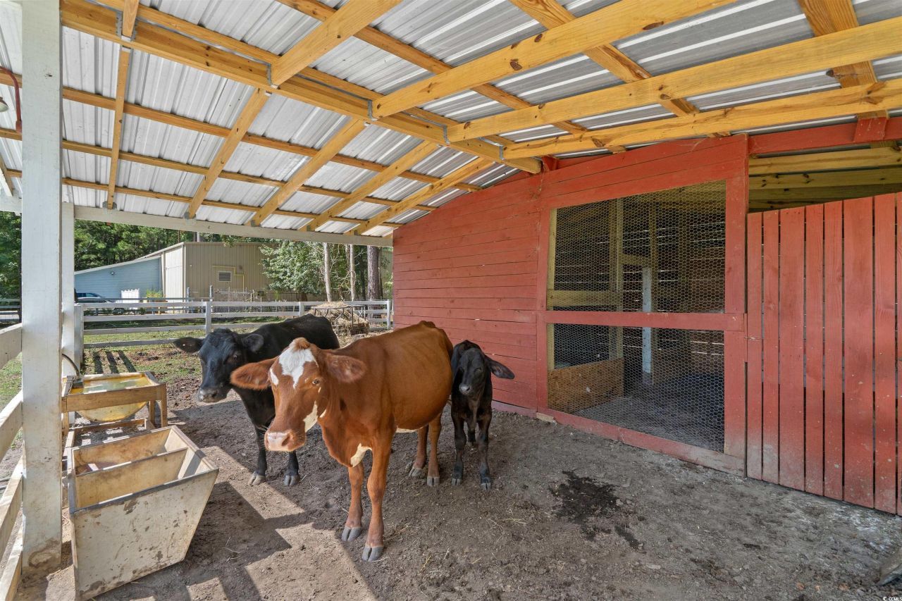 2323 Main St. Photo 10