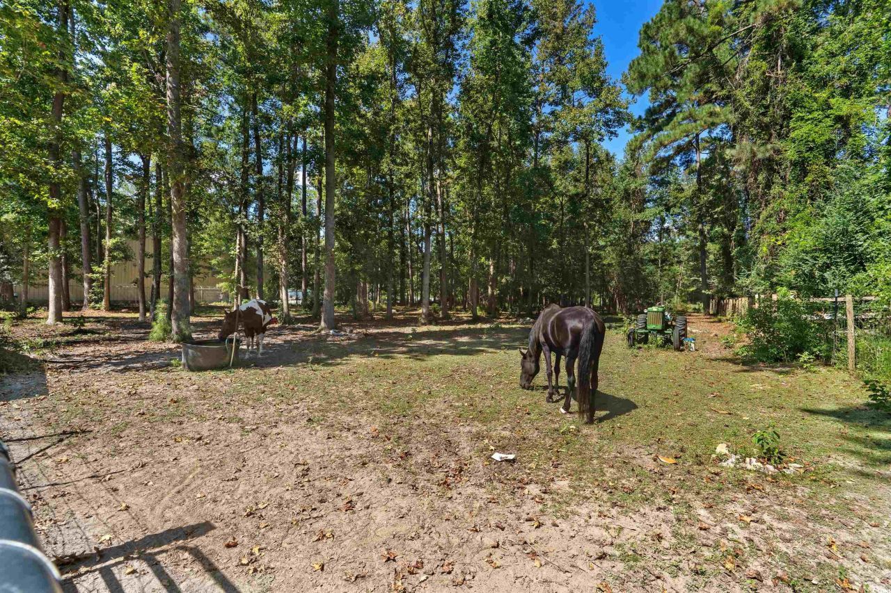 2323 Main St. Photo 9