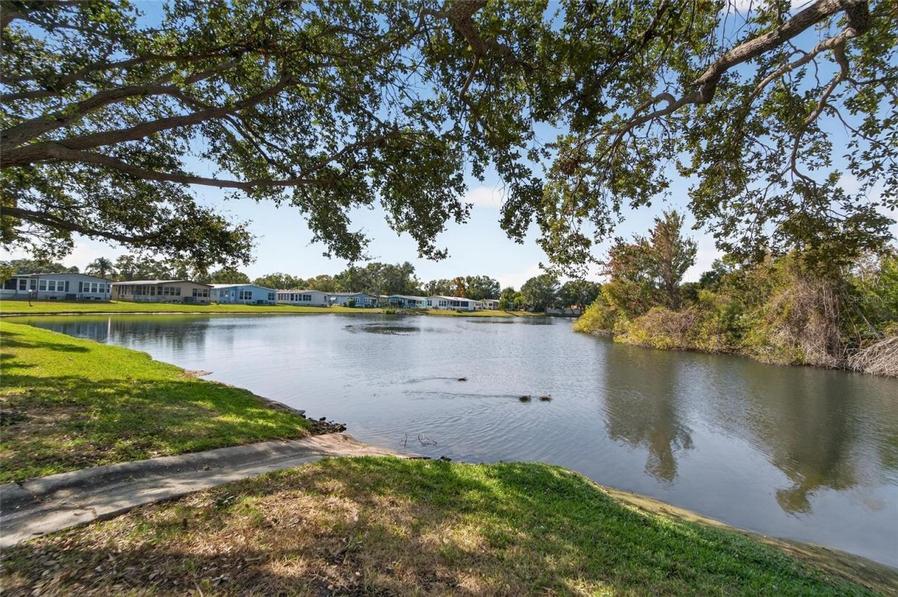 1001 Starkey Road, Lot#355, Largo, FL 33771 Photo