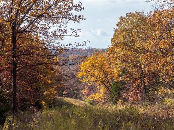 000 Mo-V, Union, MO 63084