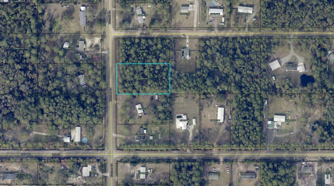 10040 Kirchherr Ave, Hastings, FL 32145 Main Photo