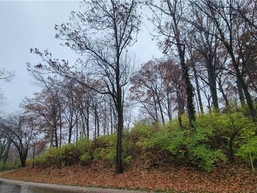 835 Big Hill Road, Kettering, OH 45419