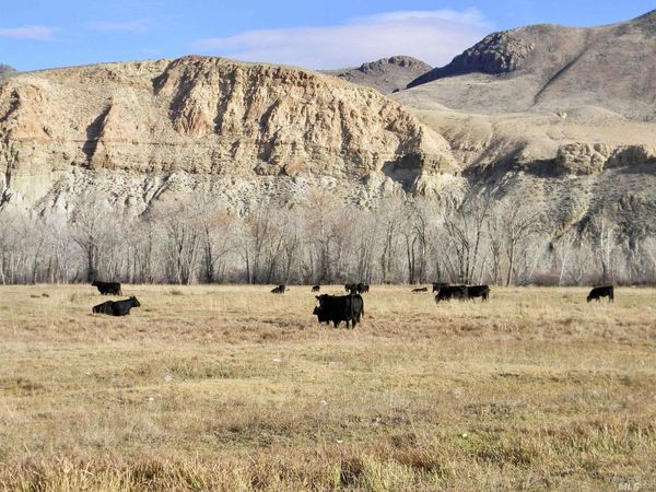 24950 Hwy. 93, Challis, ID 83226