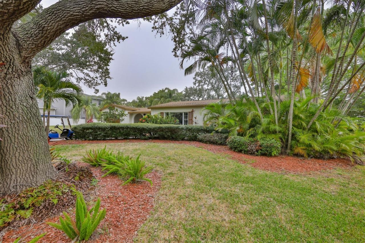 456 Rafael Boulevard Ne, Saint Petersburg, FL 33704 Photo