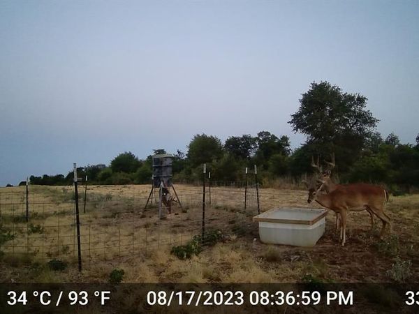 11653 FM 1226 Parcel C , Hawley, TX 79525