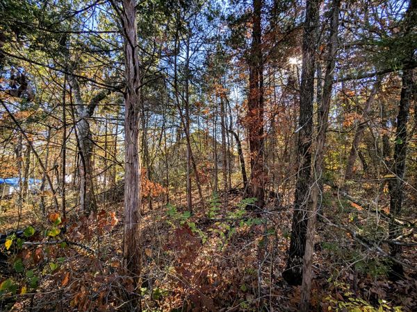 Lot 69&70 Bluebird Road, Merriam Woods, MO 65740
