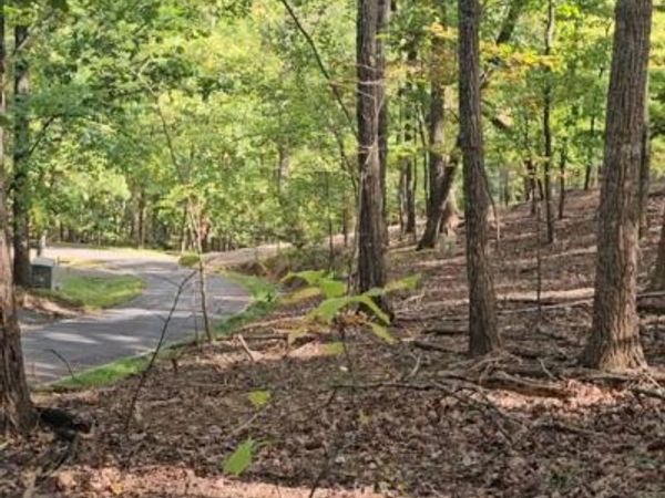 315 Windflower Drive, Big Canoe, GA 30534