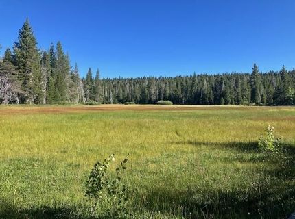 960 Ward Creek Blvd, Tahoe City, CA 96145 Photo