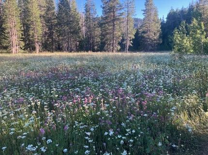 960 Ward Creek Blvd, Tahoe City, CA 96145 Photo