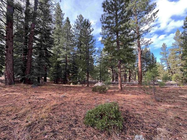 15411 Kent Drive, Truckee, CA 96161