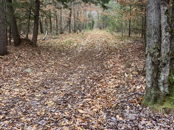 L15.111 Scofield Road, Lake Luzerne, NY 12846