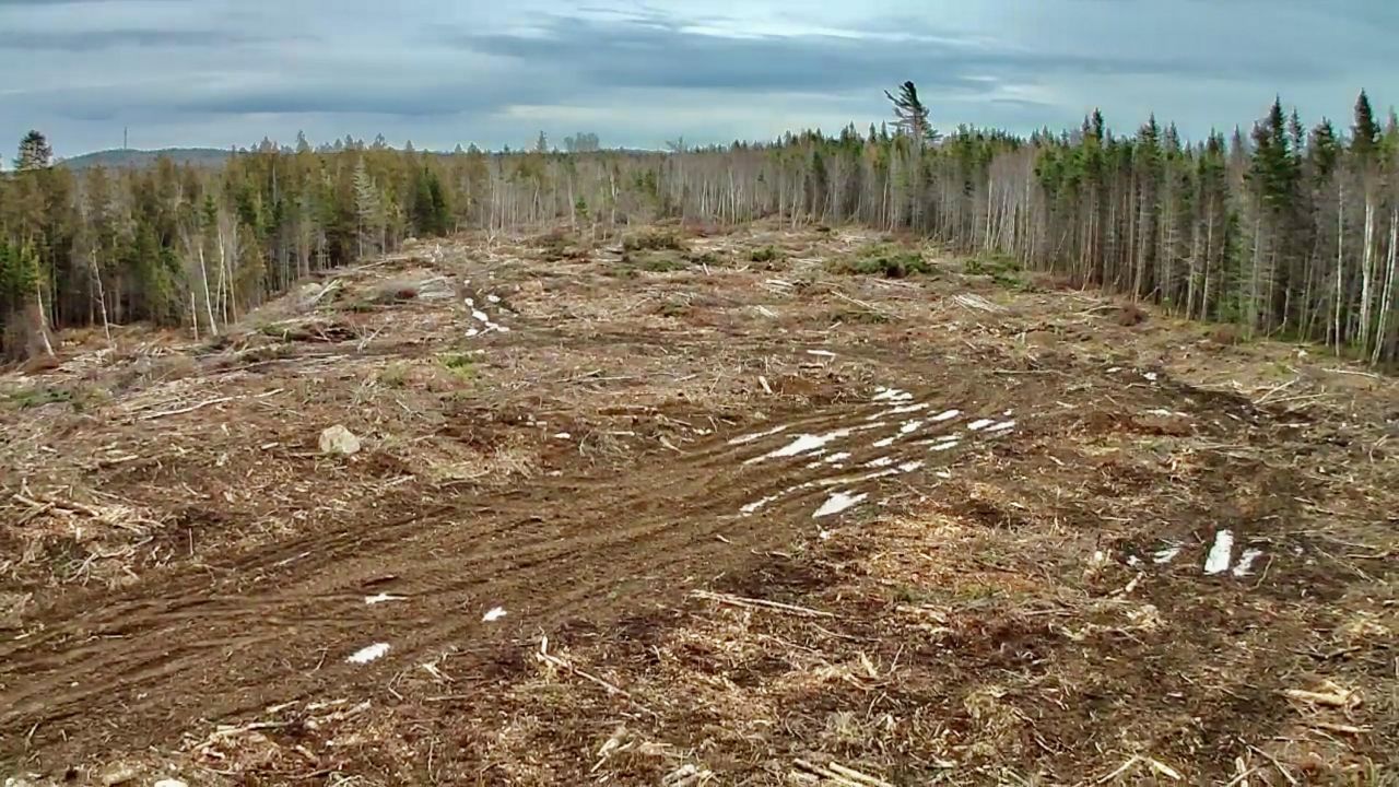 L1 Lively Brook Acres, Whiting, ME 04691 Main Photo