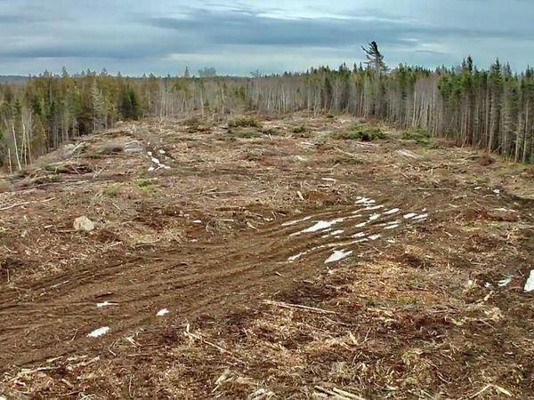 L1 Lively Brook Acres, Whiting, ME 04691