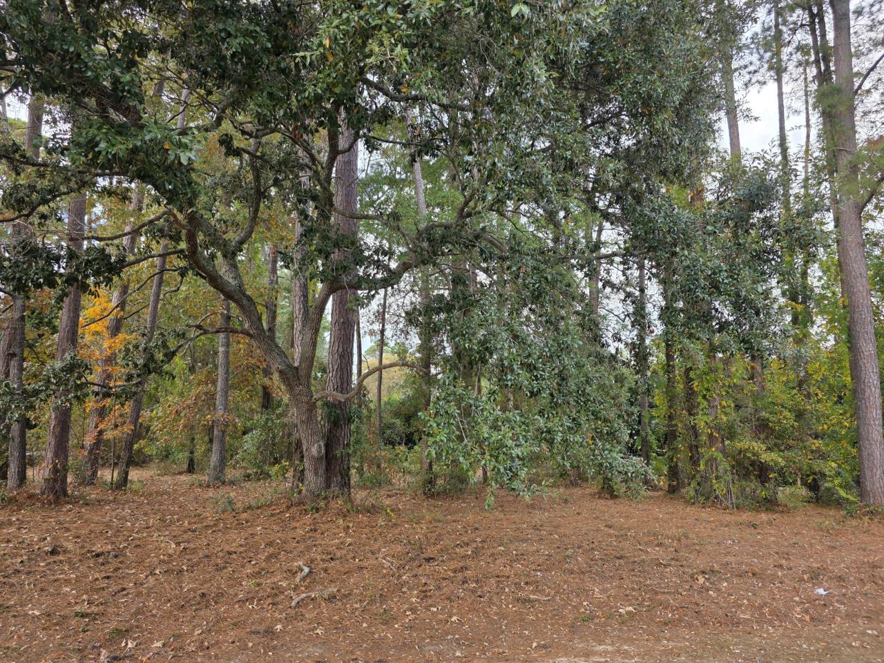 128 Cooper Circle Photo 12