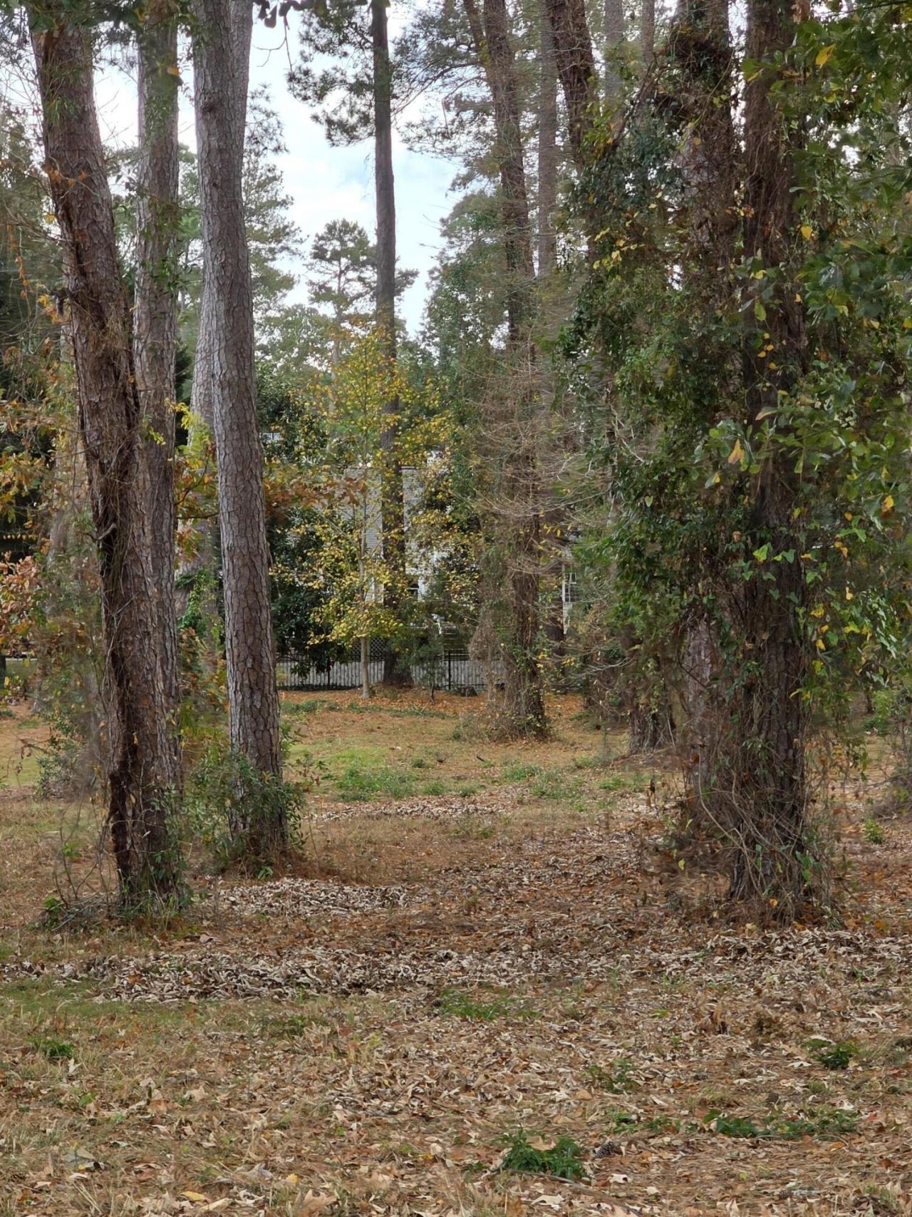 128 Cooper Circle Photo 36