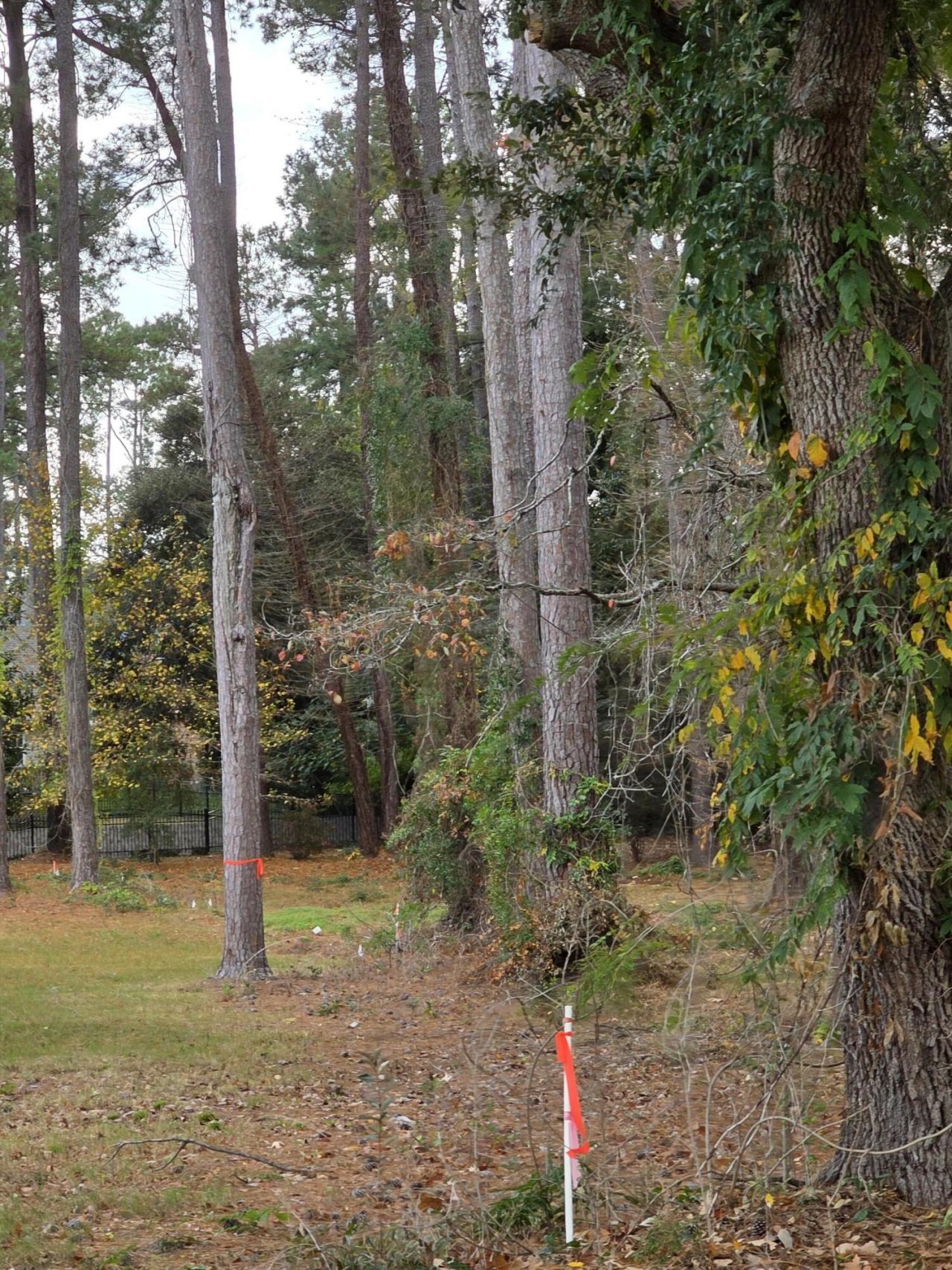 128 Cooper Circle Photo 37