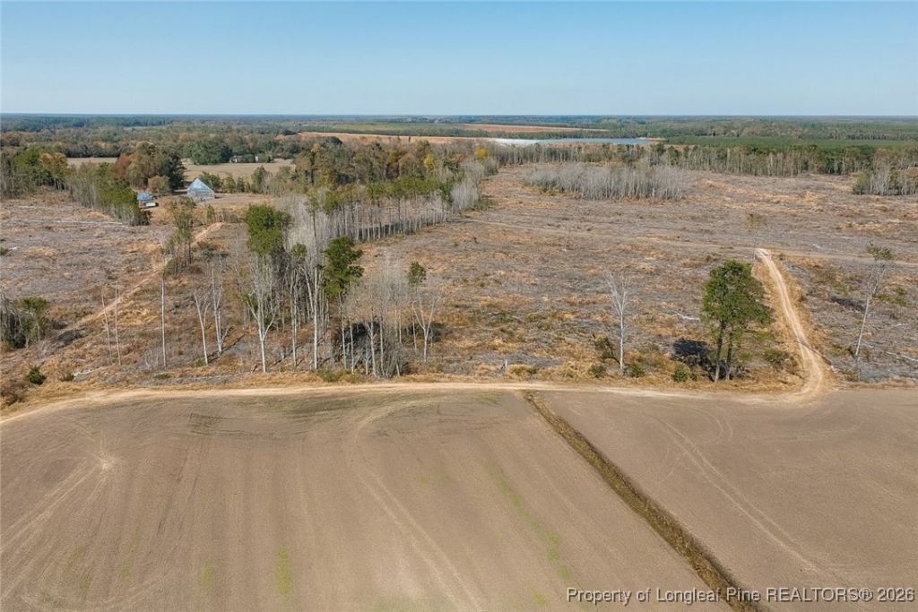 Lot 7 Barnesville Church Road, Orrum, NC 28369 Main Photo
