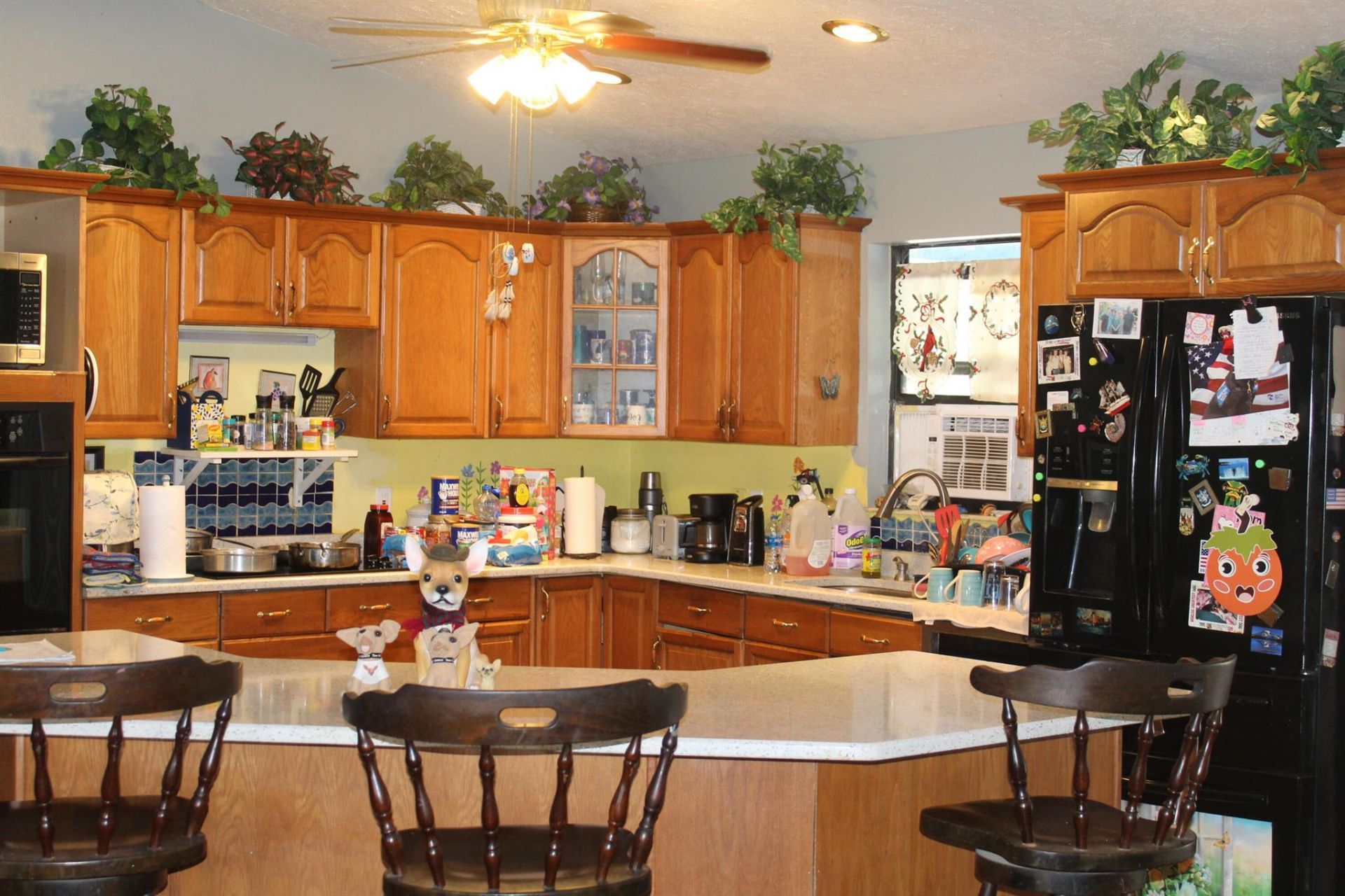 14550 99th Street, Fellsmere, FL 32948 Photo