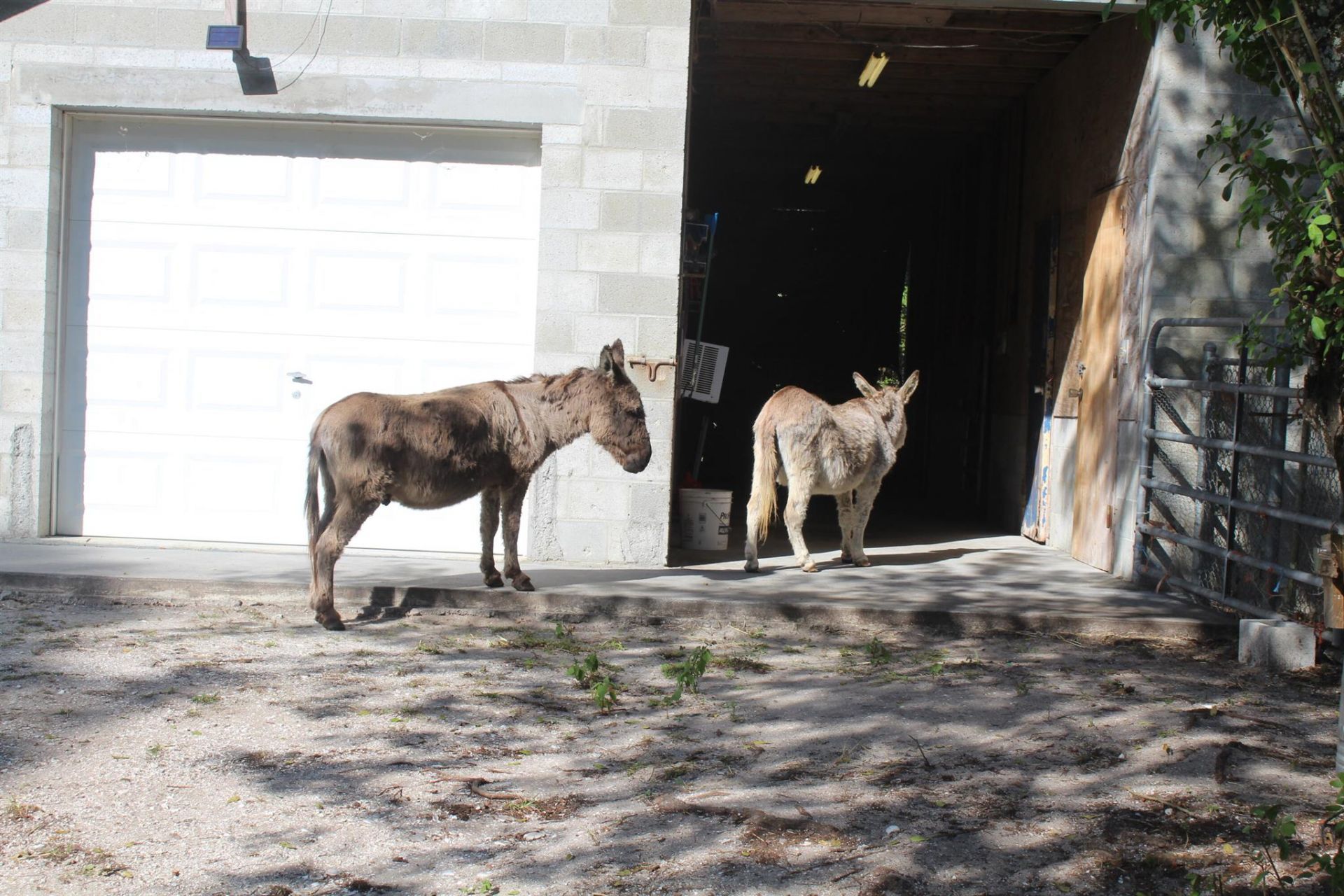 14550 99th Street, Fellsmere, FL 32948 Photo