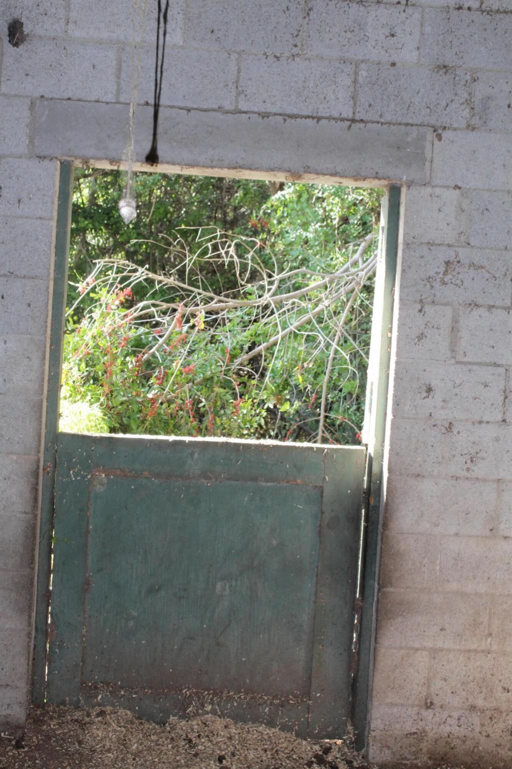 14550 99th Street, Fellsmere, FL 32948 Photo