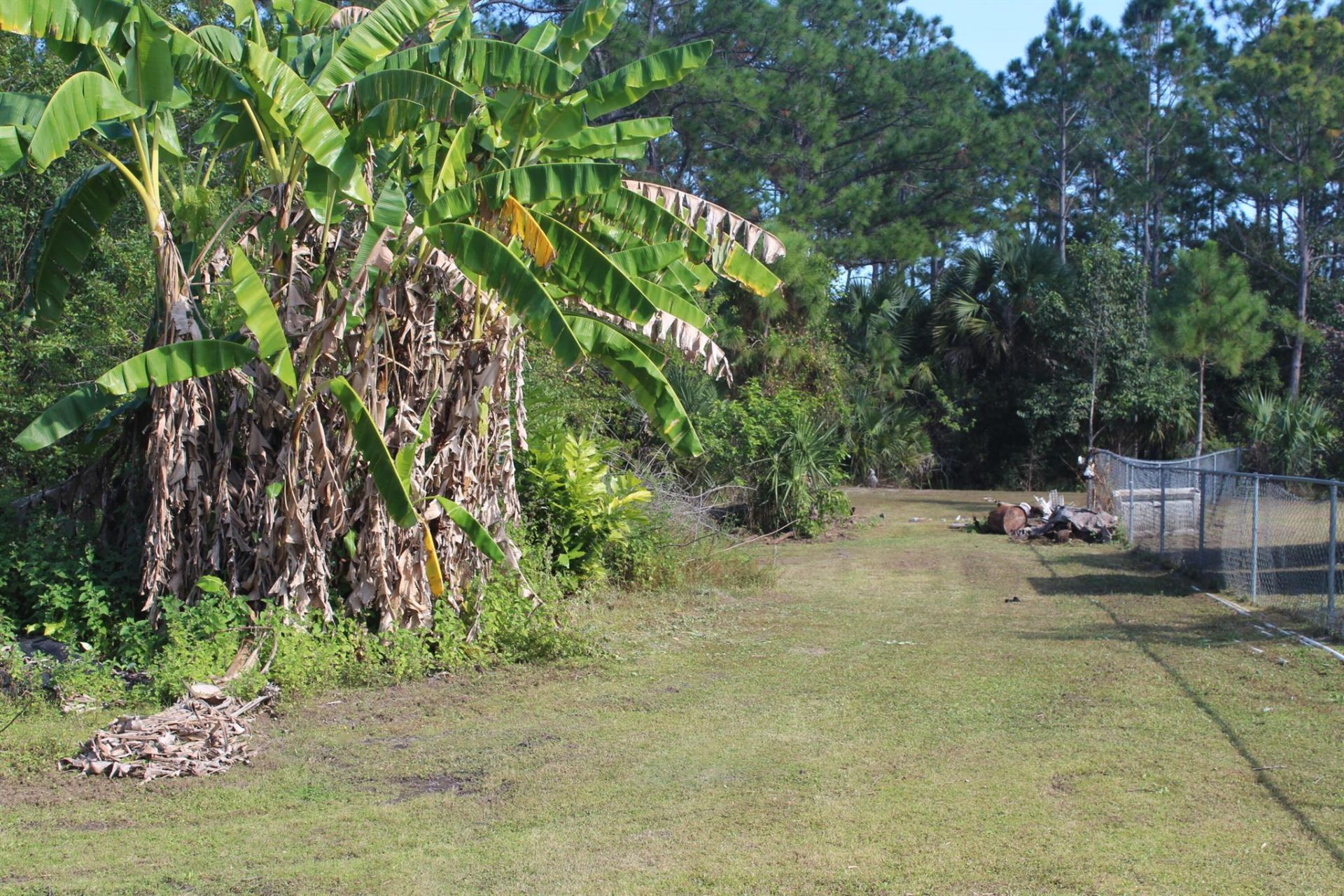 14550 99th Street, Fellsmere, FL 32948 Photo