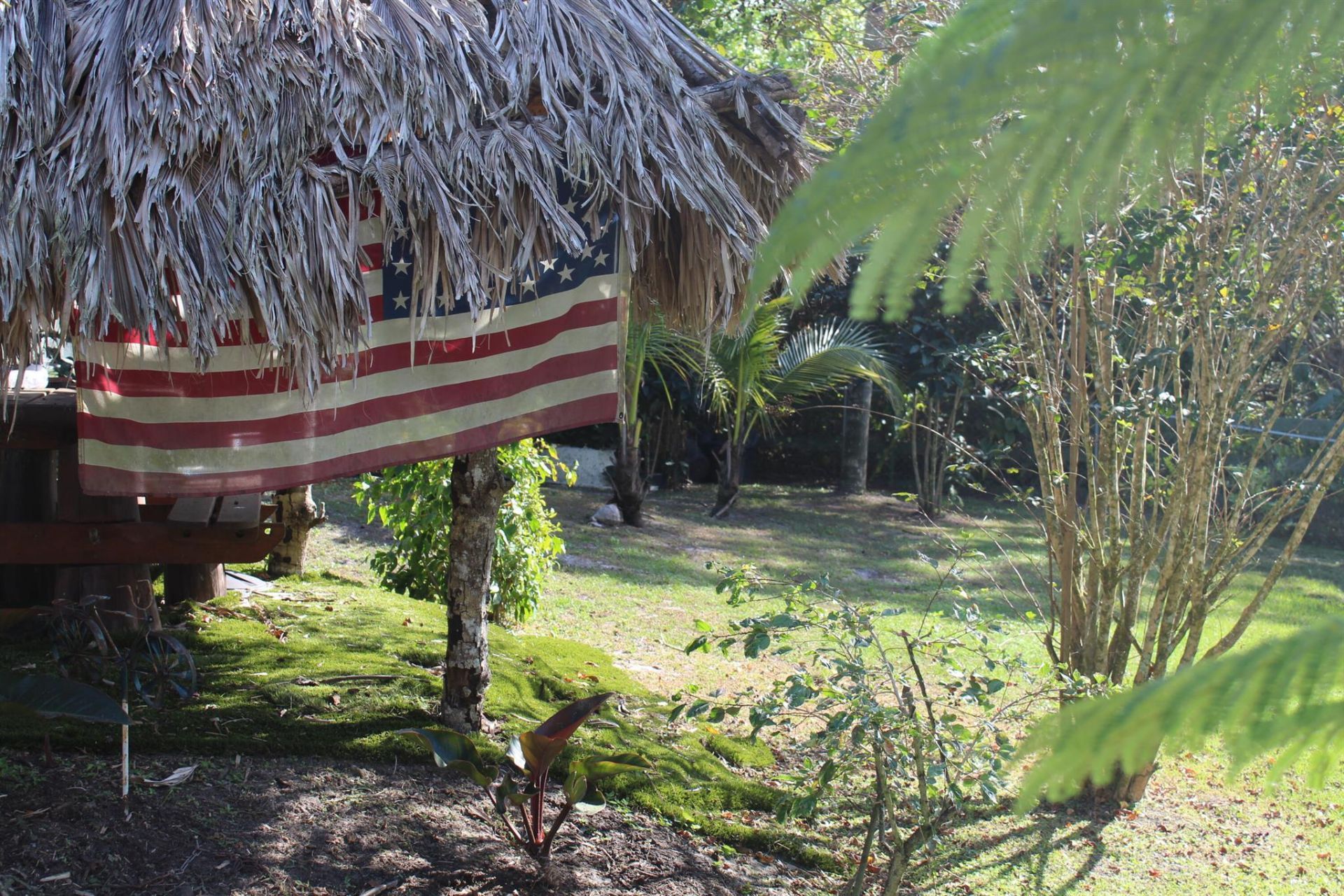 14550 99th Street, Fellsmere, FL 32948 Photo