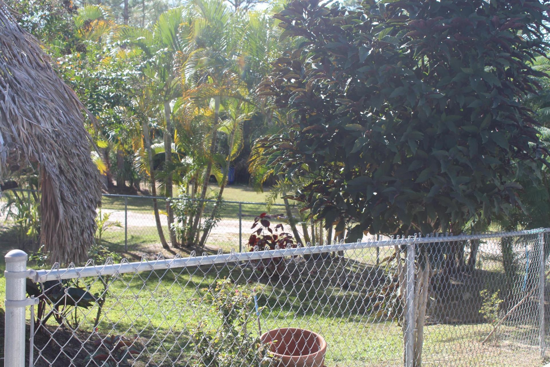 14550 99th Street, Fellsmere, FL 32948 Photo