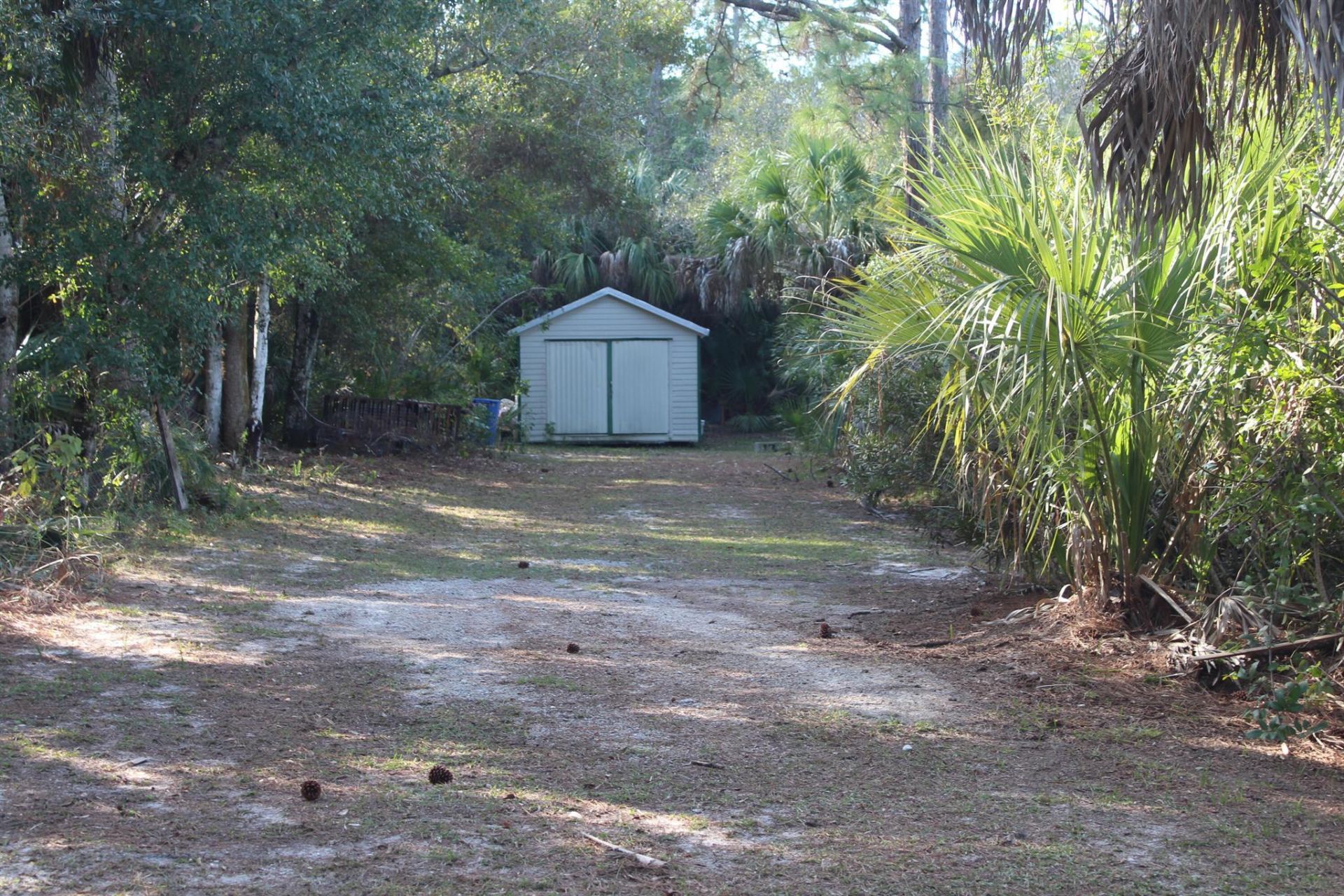 14550 99th Street, Fellsmere, FL 32948 Photo