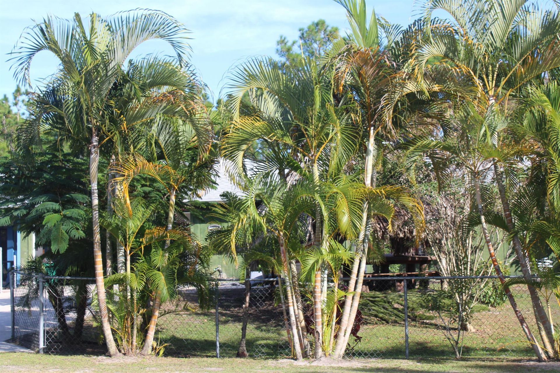 14550 99th Street, Fellsmere, FL 32948 Photo