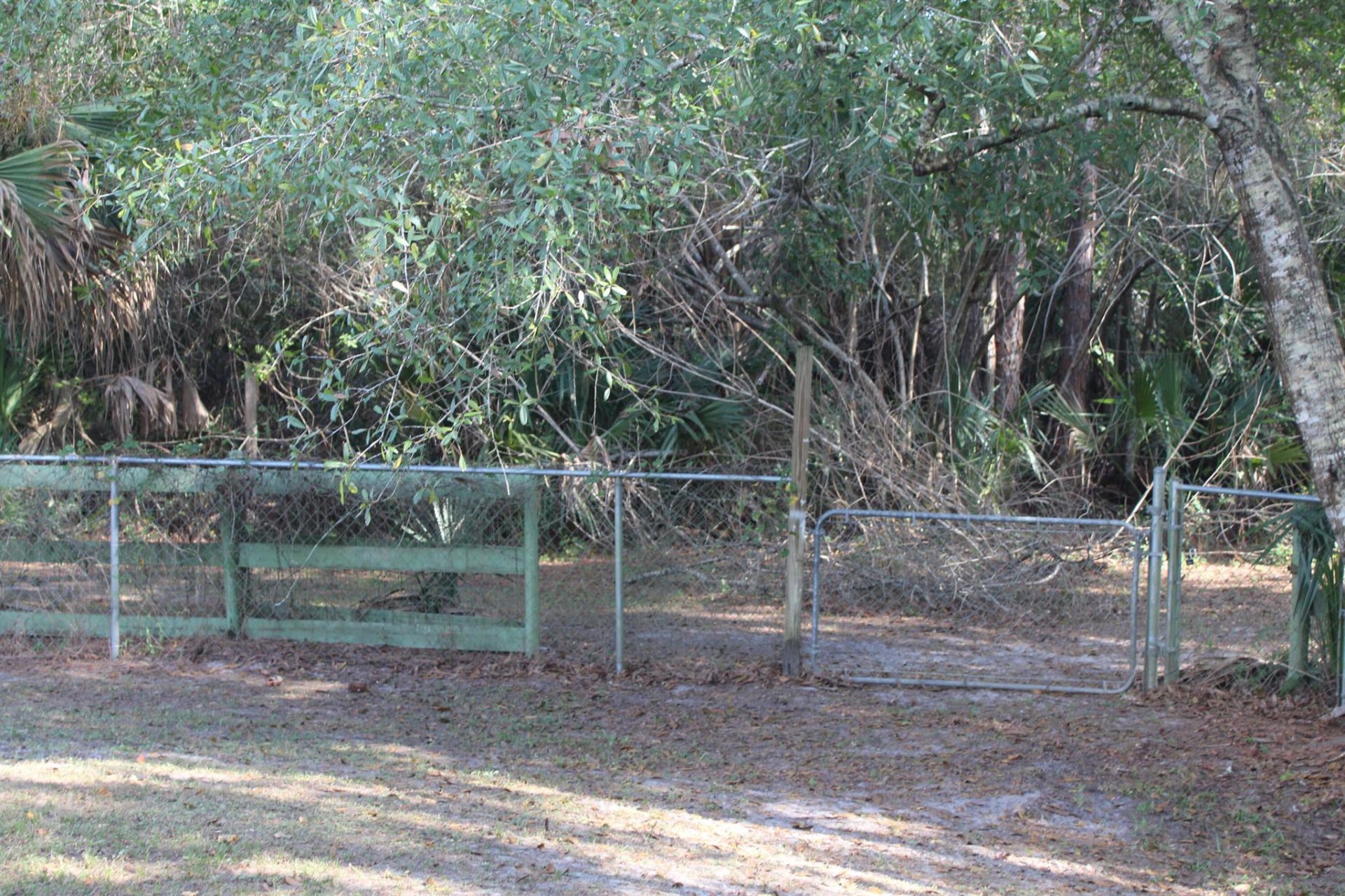 14550 99th Street, Fellsmere, FL 32948 Photo