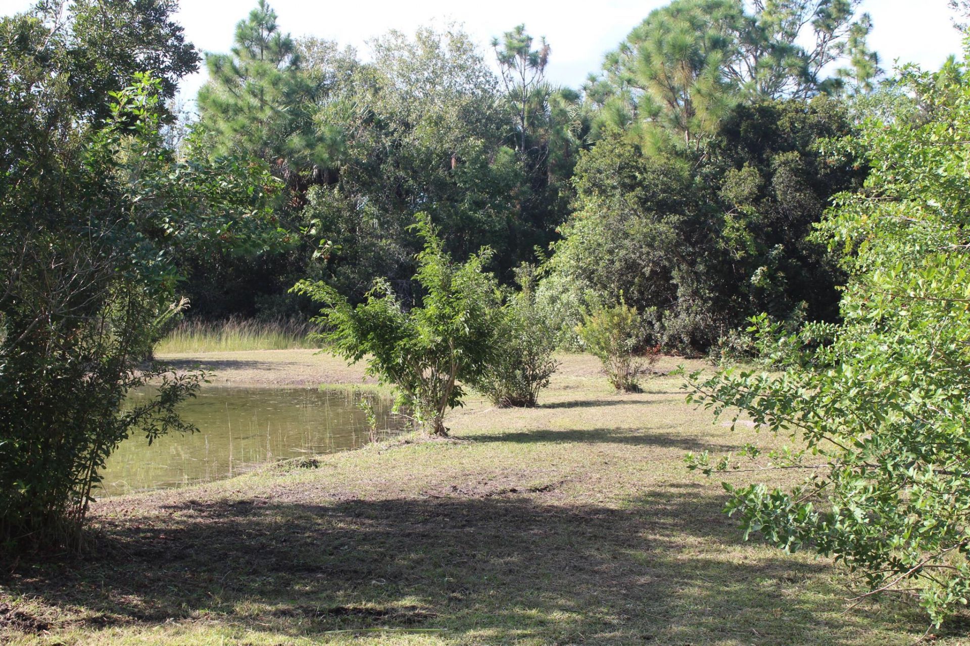 14550 99th Street, Fellsmere, FL 32948 Photo