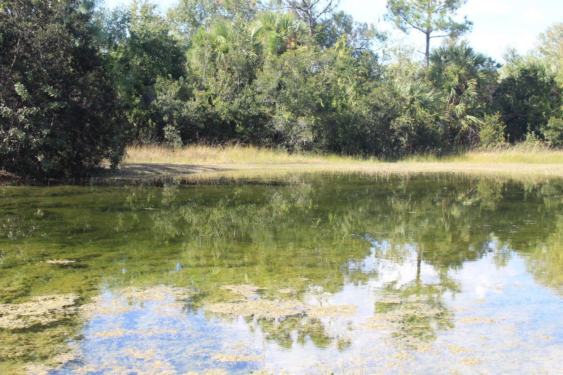 14550 99th Street, Fellsmere, FL 32948 Photo