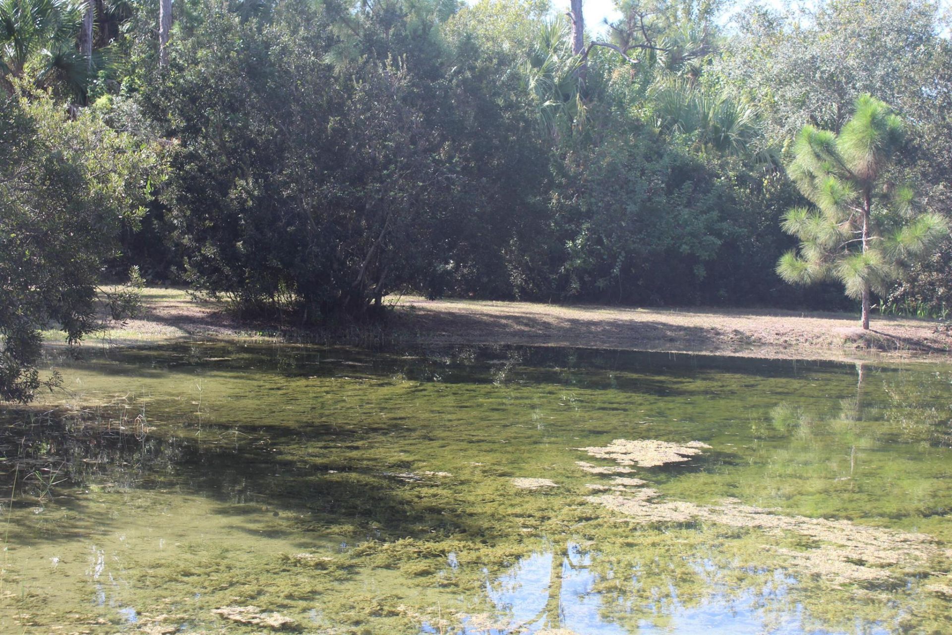 14550 99th Street, Fellsmere, FL 32948 Photo