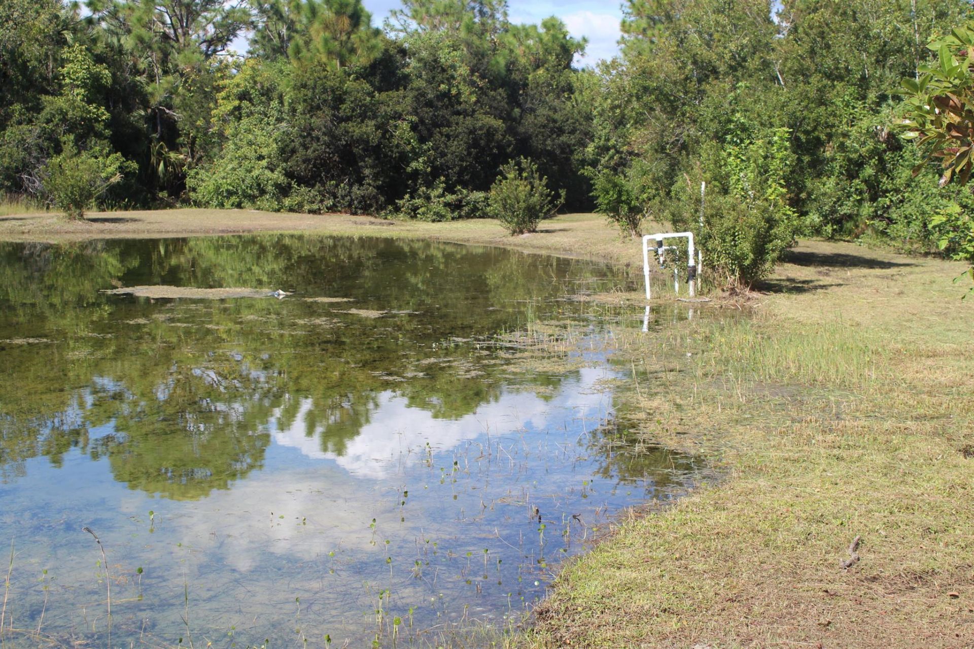 14550 99th Street, Fellsmere, FL 32948 Photo