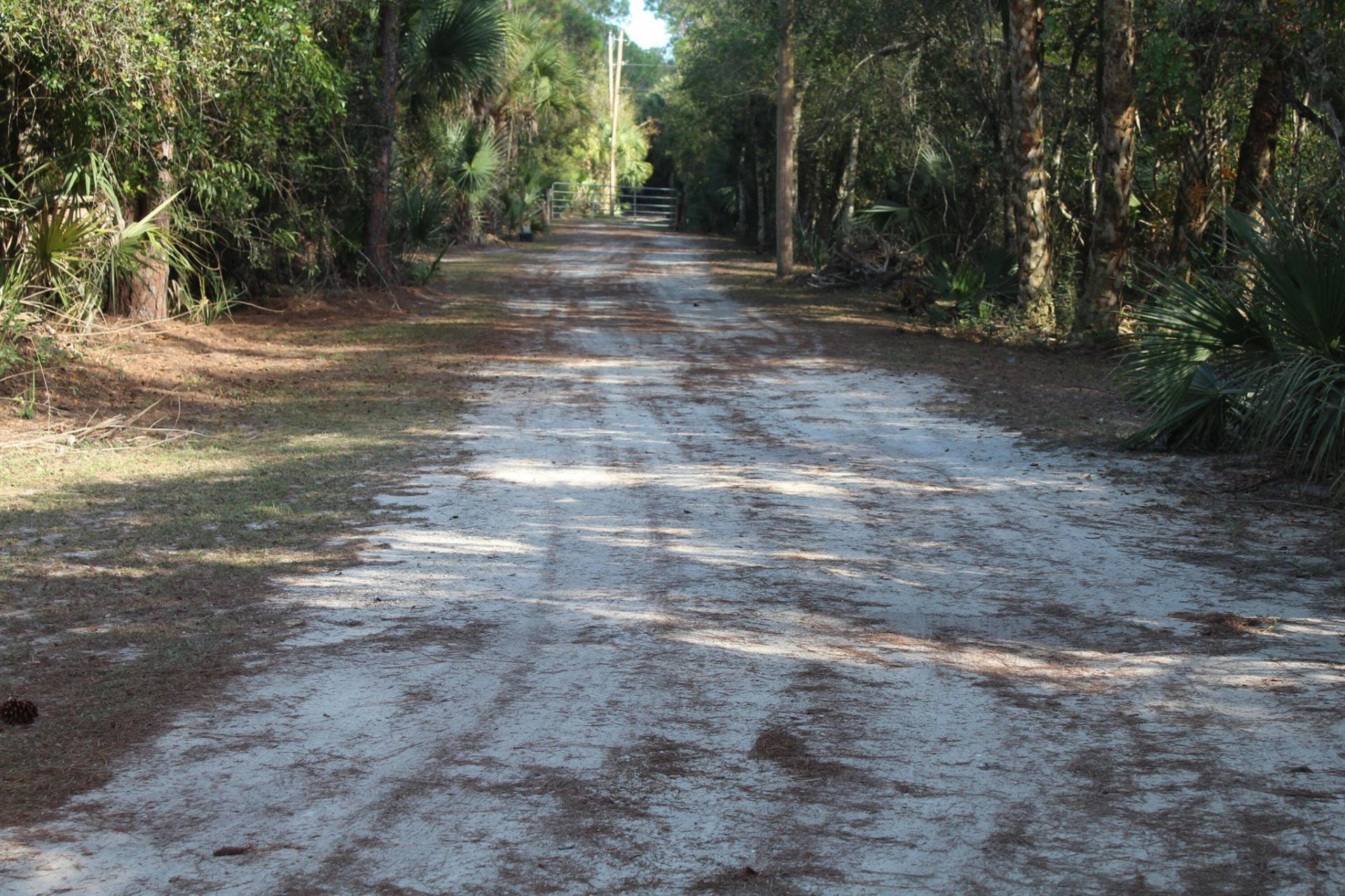 14550 99th Street, Fellsmere, FL 32948 Photo