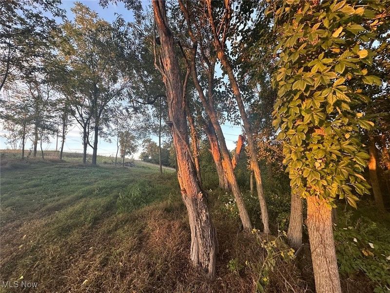 13300 Mount Zion Road, Frazeysburg, OH 43822 Photo 25