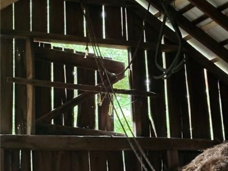 13300 Mount Zion Road, Frazeysburg, OH 43822 Photo 39