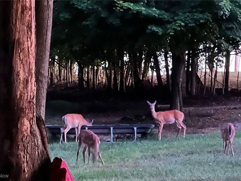 13300 Mount Zion Road, Frazeysburg, OH 43822 Photo 43