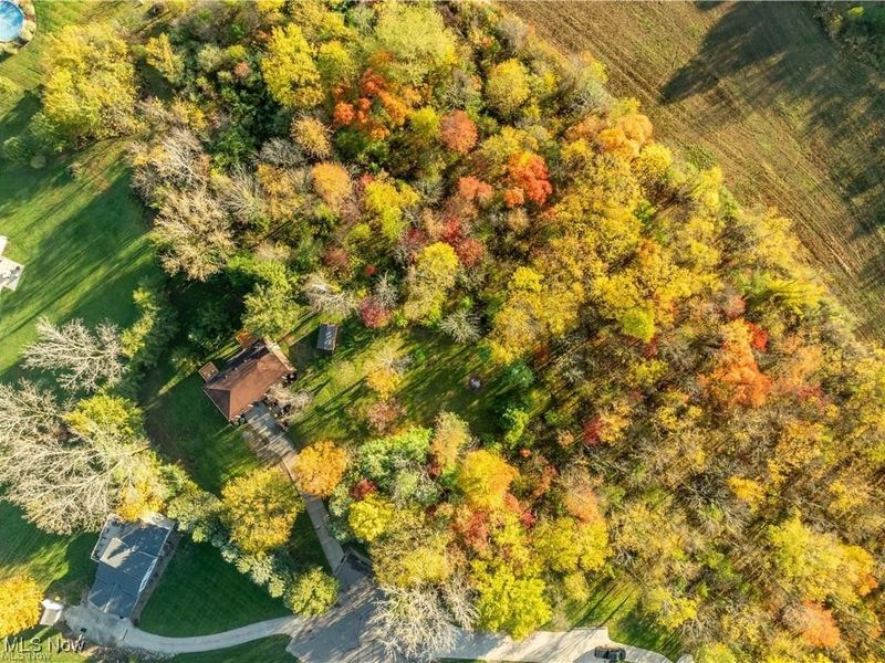 1513 Meadow Square NE, Bolivar, OH 44612 Photo 3