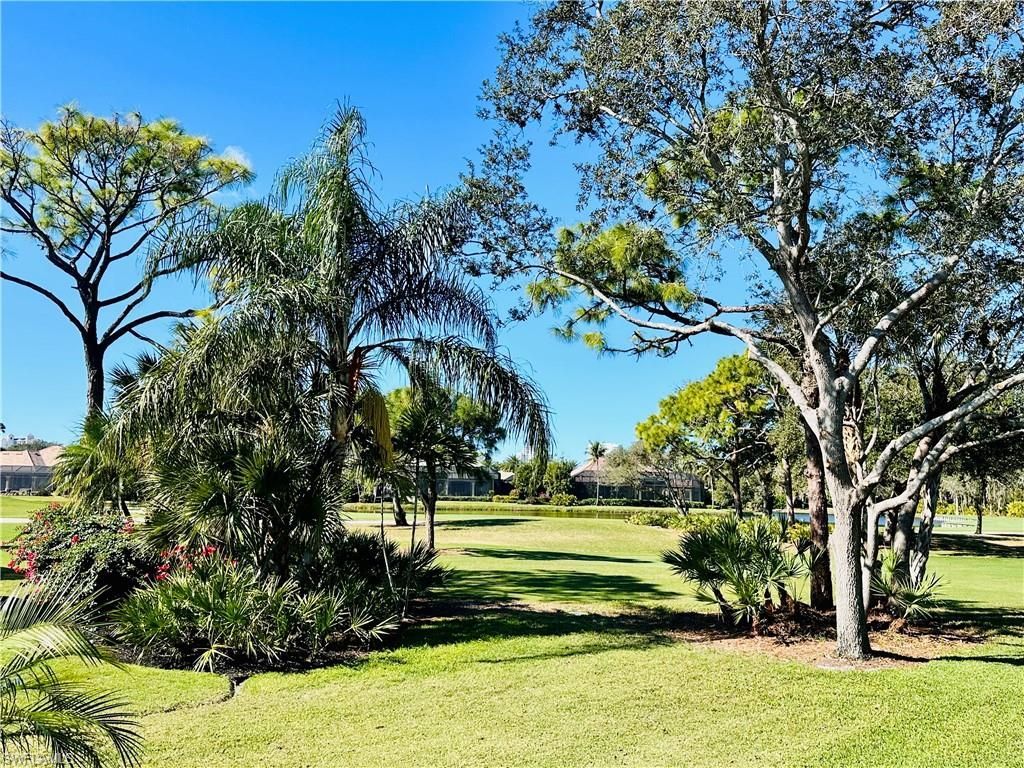 26120 Osprey Nest Ct, Bonita Springs, FL 34134 Photo