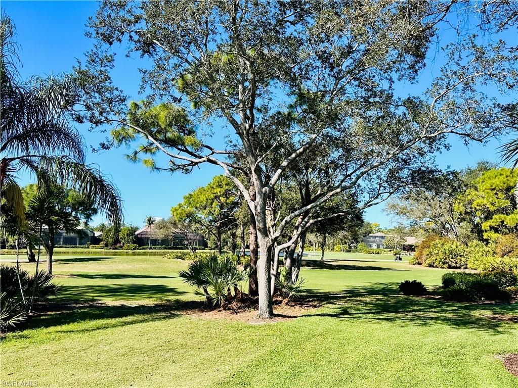 26120 Osprey Nest Ct, Bonita Springs, FL 34134 Photo