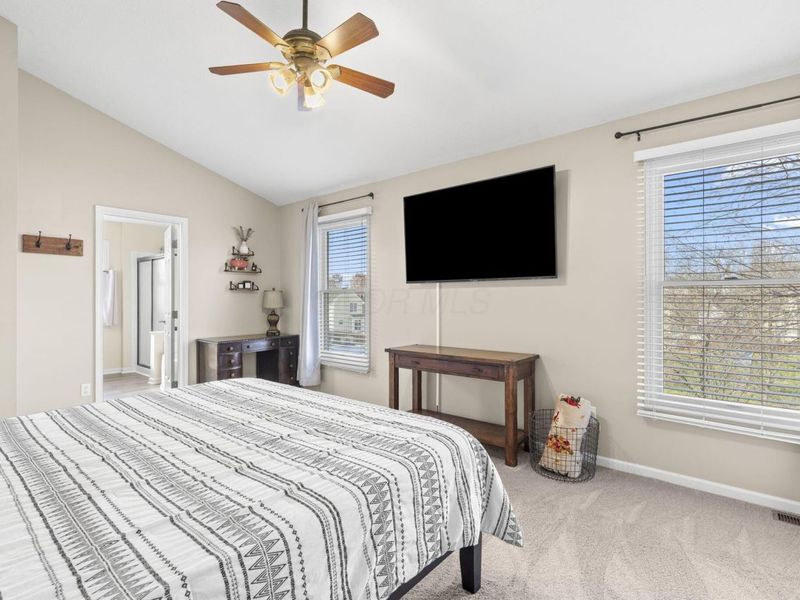 783 Mill Run Drive, Sunbury, OH 43074 Photo 34