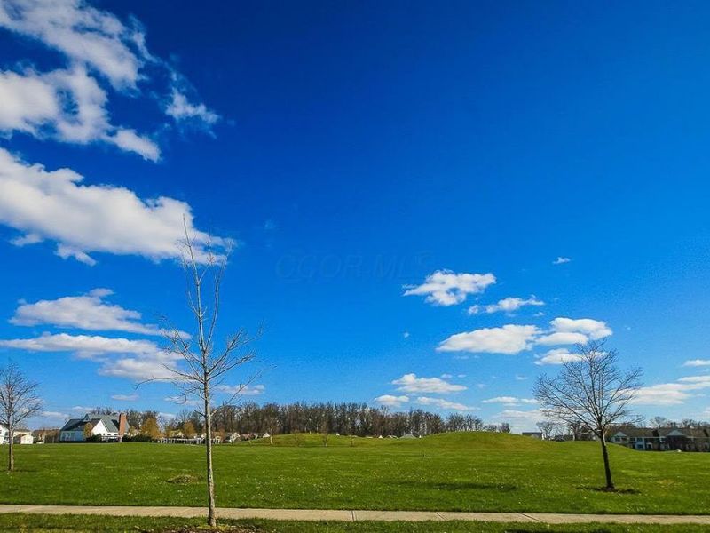 5904 Winebrook Drive, Westerville, OH 43081 Photo 23