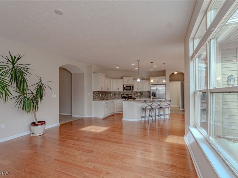 1493 Newman Drive, Brunswick Hills, OH 44212 Photo 12