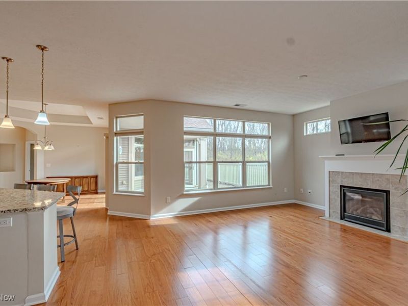 1493 Newman Drive, Brunswick Hills, OH 44212 Photo 7