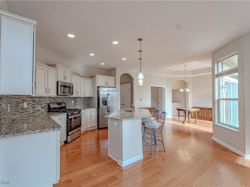 1493 Newman Drive, Brunswick Hills, OH 44212 Photo 8