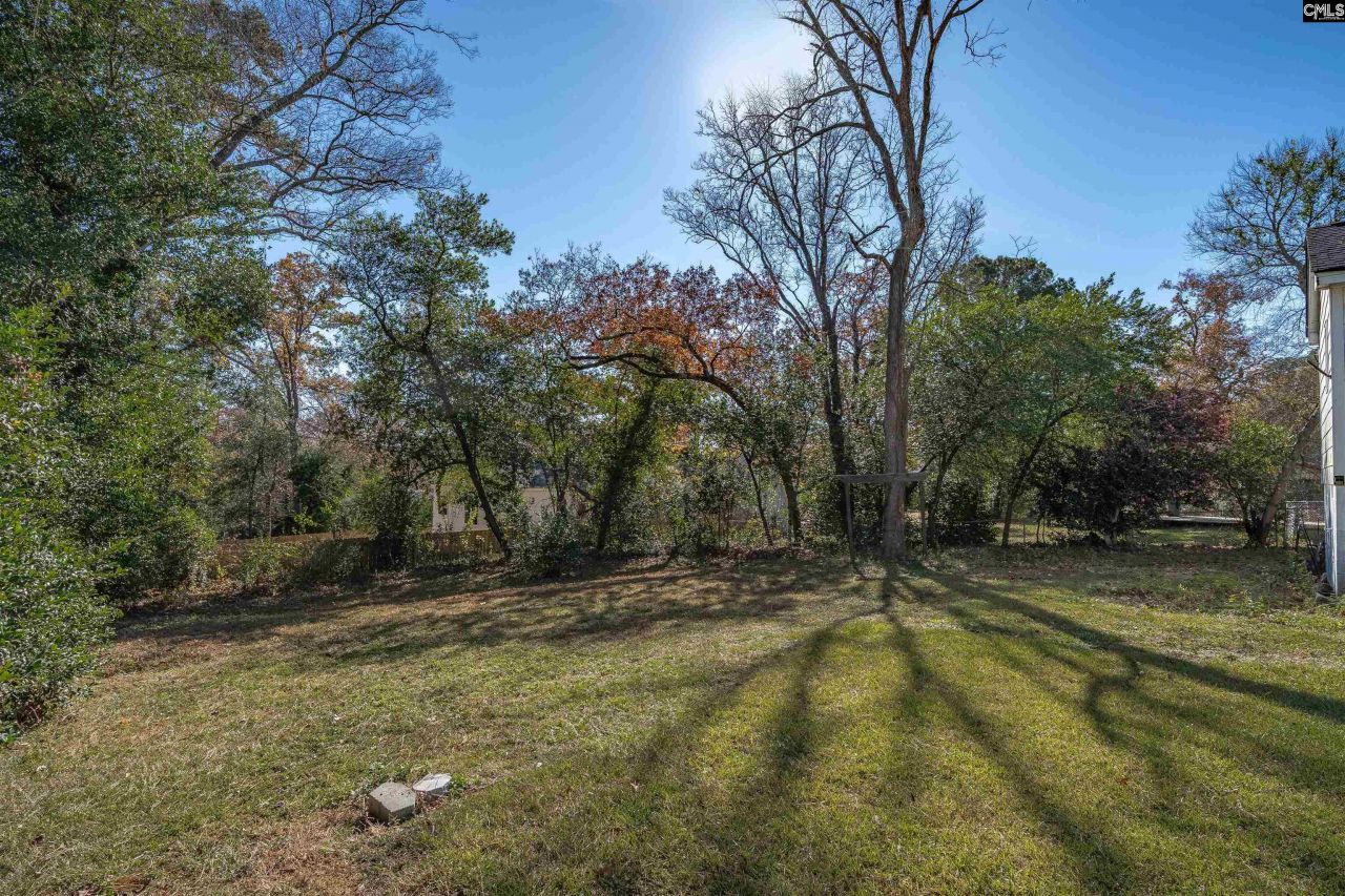 1108 S Beltline Boulevard Photo 41