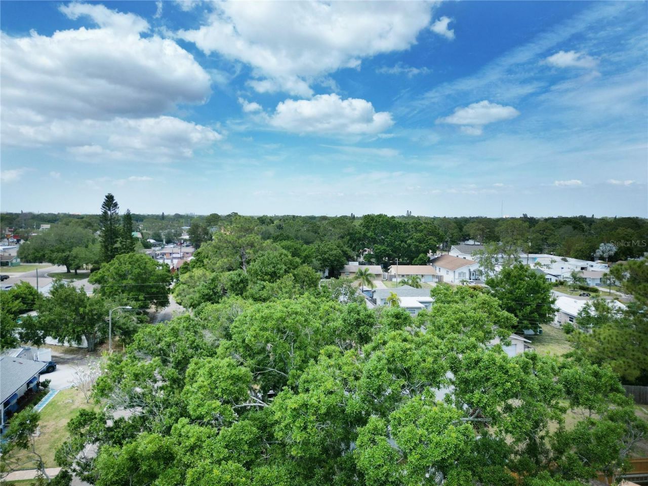 771 Murphy Avenue N, Saint Petersburg, FL 33703 Photo